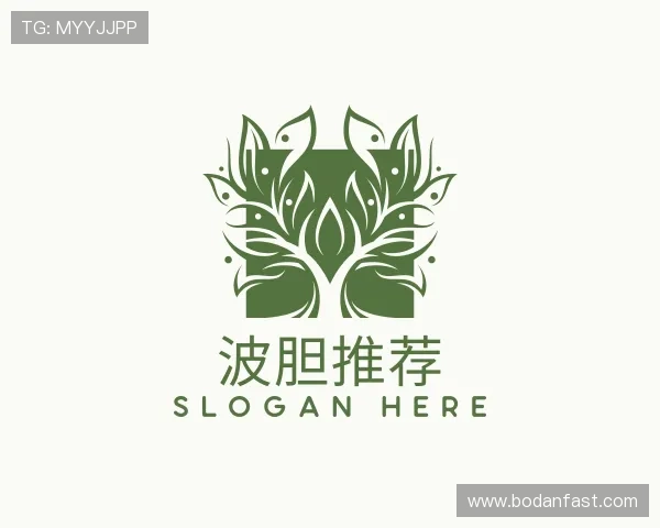 介绍波胆足球